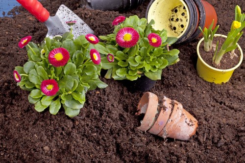 Landscape gardeners in Shadwell designing a modern urban garden