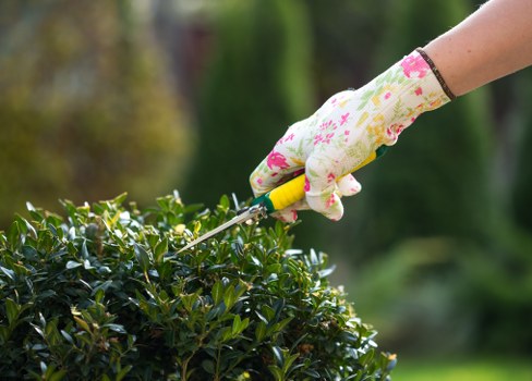 Screen-reader friendly landscaping information layout