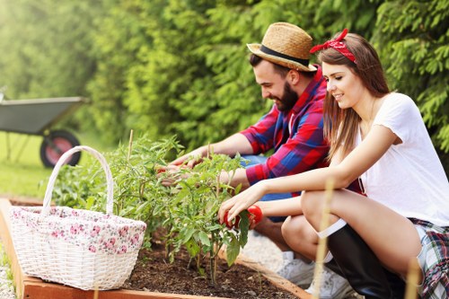 Lawn care in Shadwell with healthy green grass and garden maintenance