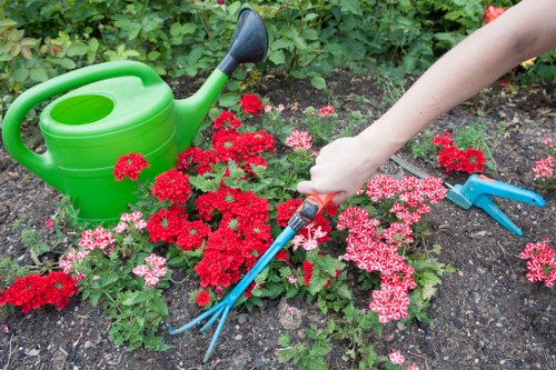 Team of landscapers shaping a garden in Shadwell