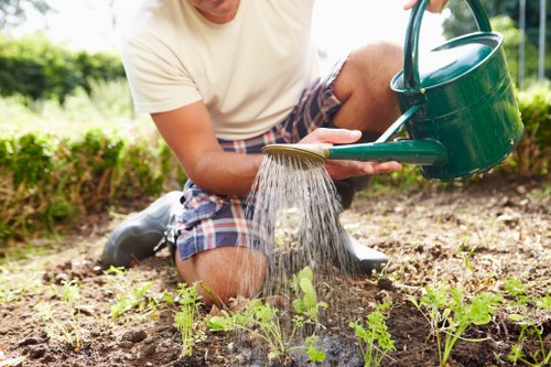 Professional garden clearance service in Shadwell