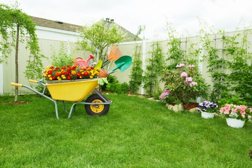 Healthy lawn care routine in Shadwell for shaded urban gardens