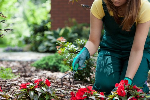Urban planting and paving in a Shadwell outdoor space