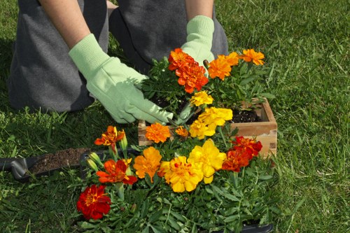 Seasonal lawn care in Shadwell with mowing and feeding tasks