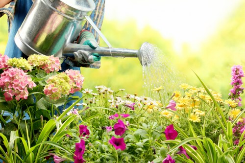 Professional reviewing complaint records for a landscaping job