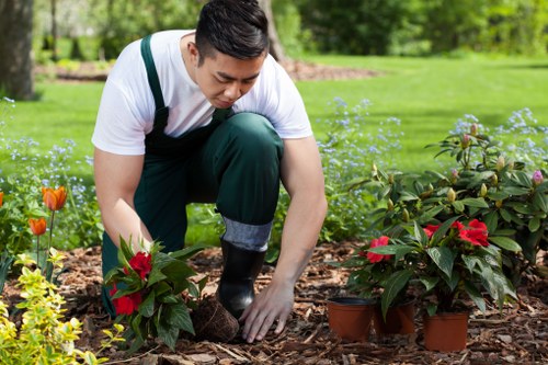 Professional lawn maintenance in Shadwell for compacted turf