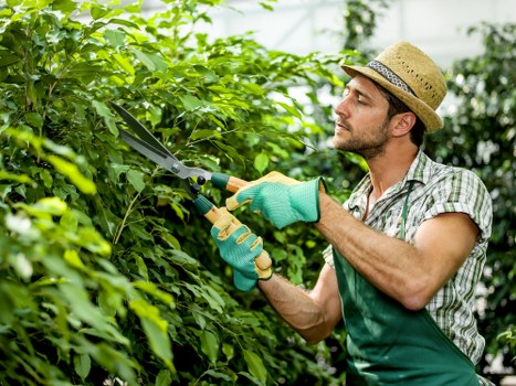 Professional gardeners working on a Shadwell property