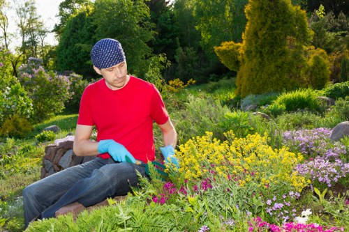 Modern flower bed layout for a Shadwell garden