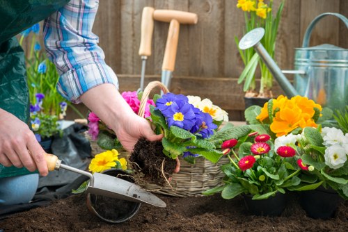 Professional hedge maintenance for a Shadwell property boundary