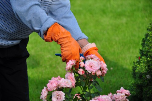 Local lawn maintenance for a residential property in Shadwell