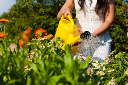 Modern garden lighting and privacy features in Shadwell