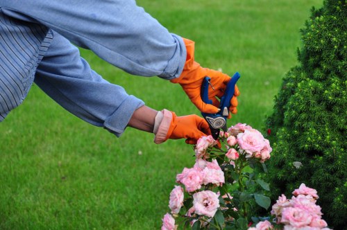 Cookie policy closing section for Landscapers Shadwell