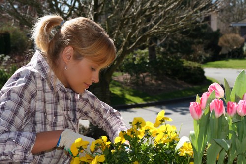 Team maintaining a tidy landscaped area with safety awareness