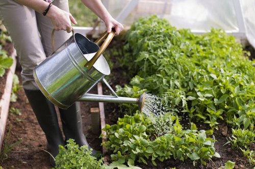 Autumn leaf clearance and planting in a Shadwell garden
