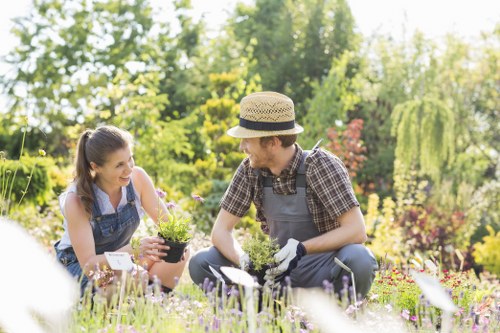 Local landscaping specialists planning an outdoor project